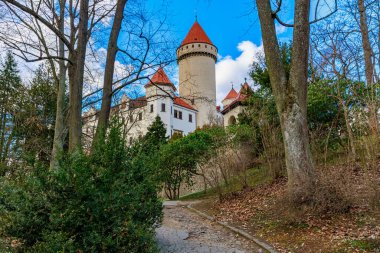Ormanda kırmızı kiremitli kuleleri olan tarihi Avrupa kalesi.