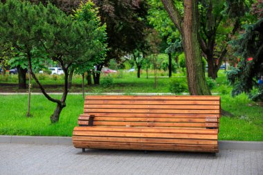 Yeşillik ve ağaçlarla dolu sakin parkta ahşap bir bank..