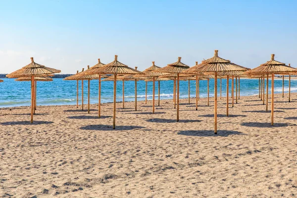 Açık mavi gökyüzünün altında, okyanusun kenarında saman şemsiyeli kumsal.