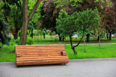 Ağaçlı, yemyeşil parktaki ahşap park bankında..