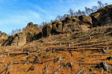 Rocky cliffside with fallen trees and sparse vegetation under blue sky.