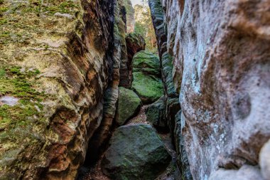 Narrow passageway through moss-covered rock formations in a natural gorge.