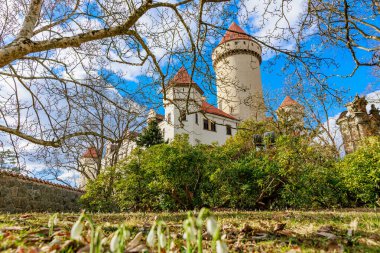 Kırmızı kuleleri ve mavi gökyüzünün altında ilkbahar kar damlaları olan ortaçağ şatosu.