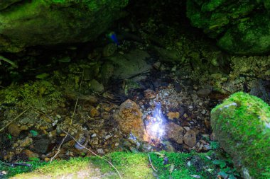 Yosun kaplı bir kaya derede oturur. Yosun yeşil ve su berrak.