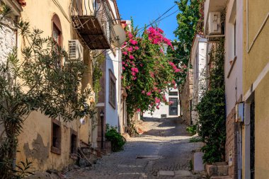 Tuhaf Akdeniz köyünde çiçek açan pembe begonvillerle büyüleyici bir kaldırım taşı sokağı..