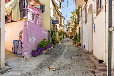 Akdeniz köyünde renkli binaları ve bitkileri olan hoş bir kaldırım taşı sokağı. 3 Ağustos 2025, Ayvalik, Türkiye.