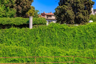Yoğun sarmaşık ve uzun ağaçlarla çevrili kentsel binalar. İzmir, İzmir 'de antik İzmir kalıntıları.