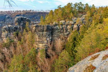 Orman kanyonu manzarasında görkemli kaya oluşumları.
