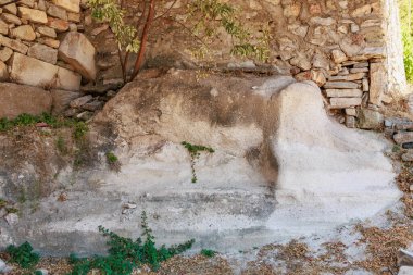 Yemyeşil yapraklı eski taş duvar kalıntıları..