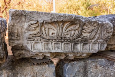 Antik Yunan korint sütun sermaye parçası harabeler içinde.