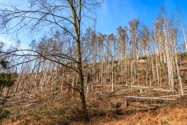 Açık mavi gökyüzünün altında ağaçsız ve ağaçsız bir tepe manzarası.