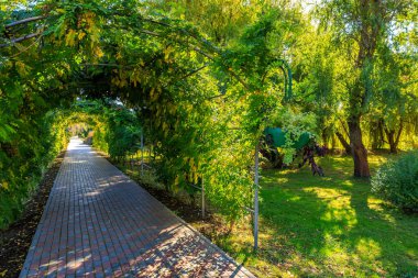 Üzerinde yeşil bir asma olan tuğla bir geçit. Geçit ağaçlar ve çalılarla çevrili.