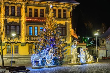 İsa 'nın doğumu sahnesi olan bir Noel ağacı sarı bir binanın önünde parlıyor. Sahne şenlikli ve davetkar. 13 Aralık 2024 Brasov Romanya