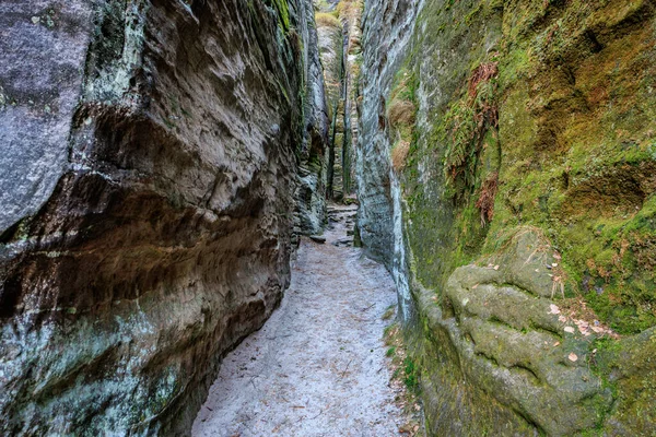 Manzaralı ormandaki yosun kaplı kumtaşı kanyonu boyunca dar bir yol..