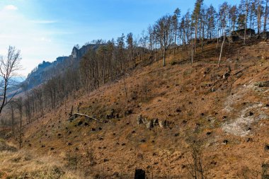 Berrak mavi gökyüzünün altındaki kayalık tepede seyrek ormanlı sonbahar manzarası.