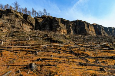 Açık mavi gökyüzünün altındaki kayalık dağ manzarası üzerinde orman tahrip etkisi.