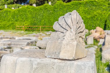 Yeşilliklerle çevrili harabelerde bulunan antik mermer obje. İzmir, İzmir 'de antik İzmir kalıntıları.