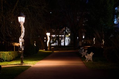 Gece vakti park yolu süslemeli sokak lambalarıyla aydınlanıyor..