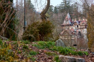 Büyüleyici Avrupa kalesi yemyeşil orman manzarasında saklı.