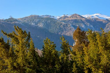 Karla kaplı tepeleri ve sık ormanları olan görkemli dağ manzarası.