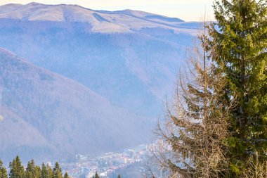 Berrak dağ vadisi manzarası, yemyeşil orman ve sisli ufuk..
