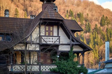 Orman manzarasının ortasında kahverengi ahşap çatılı kırsal dağ evi..