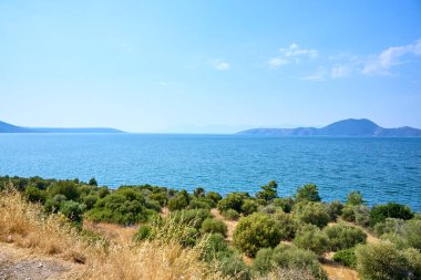 Berrak mavi Bafa Gölü ve yemyeşil verimli kıyı manzarası.