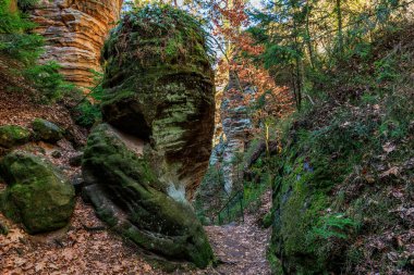 Kayalık oluşumları ve yemyeşil yapraklarıyla manzaralı sonbahar ormanı patikası..