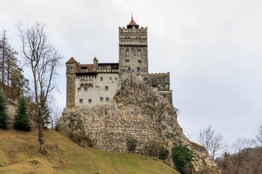 Kale bir tepenin üzerinde, önünde bir ağaç var. 16 Aralık 2024 Bran Romanya.