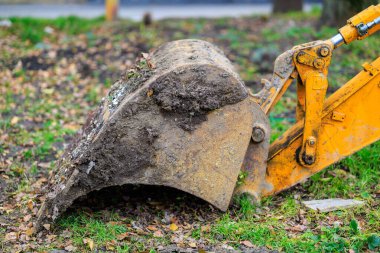 Sarı kazıcı kovası düşmüş yapraklarla çimleri eşeliyor..
