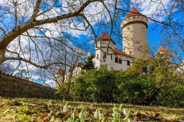 Mavi gökyüzünün altında kırmızı kuleleri ve baharda yapraksız ağaçları olan tarihi Avrupa şatosu.