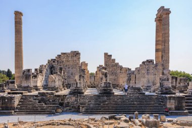 Didyma 'da uzun sütunları ve taş basamakları olan Apollo Tapınağı' nın antik kalıntıları..