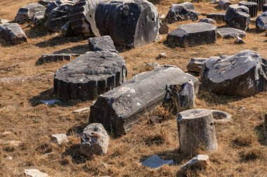 Kuru çimlerin üzerindeki yıpranmış taş sütunlarla antik kalıntılar..