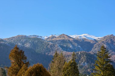 Bereketli ormanı ve berrak mavi gökyüzü olan karla kaplı dağ tepeleri..