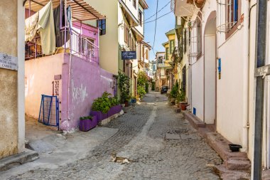 Renkli binaları ve rahat bir kedisi olan hoş, dar bir kaldırım taşı sokağı. 3 Ağustos 2025, Ayvalik, Türkiye.