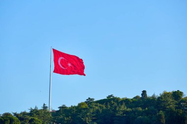 Tepede dalgalanan Türk bayrağı açık mavi gökyüzü ve çevreleyen yeşillik.