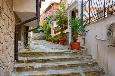 Tuhaf yerleşim yerlerinde saksı bitkileri olan taş merdiven..