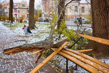 Düşen ağaç dalı karlı kent ortamında park bankına zarar verdi.