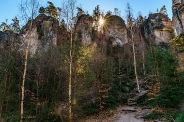 Sonbaharda orman ve taş basamakları olan güneşli kayalık bir arazi..