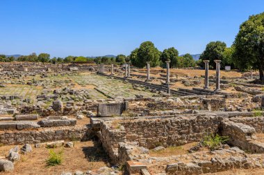 Bir sürü taş binası olan büyük, boş bir avlu. Gökyüzü açık ve mavi ve arka planda ağaçlar var. Yunanistan 'ın antik Filippi kentinin kalıntıları