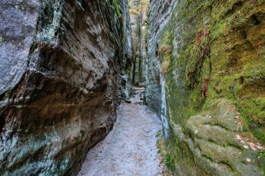 Yüksek taş duvarlı yosun kaplı kayalık kanyon boyunca dar bir yol..