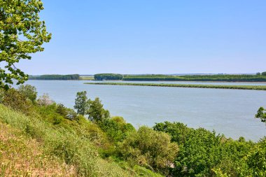 Tranquil river scenery with lush greenery under clear blue sky.