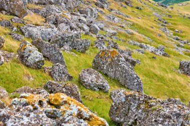 Yosun kaplı kayalarla kaplı engebeli yamaç manzarası.