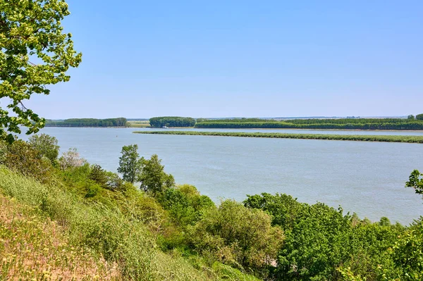 Berrak mavi gökyüzü altında yemyeşil, sakin nehir manzarası.