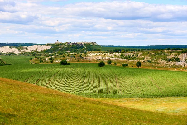 Uçsuz bucaksız üzüm bağları, yuvarlanan tepeler ve yazın bulutlu mavi gökyüzü..