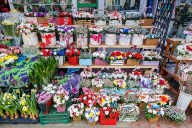 7 Mart 2024 Balti Moldova. İllüstrasyon başyazısı. Bahar tatili için çiçek fuarı