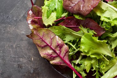 Arugula, ıspanak, yakın plan yeşiller. Vejetaryenlik ve vejetaryenlik. Sağlıklı yiyecekler.