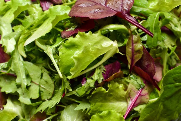 Rucola, Spinat, Grünkohl aus nächster Nähe. Veganismus und Vegetarismus. Gesunde Ernährung. — Stockfoto