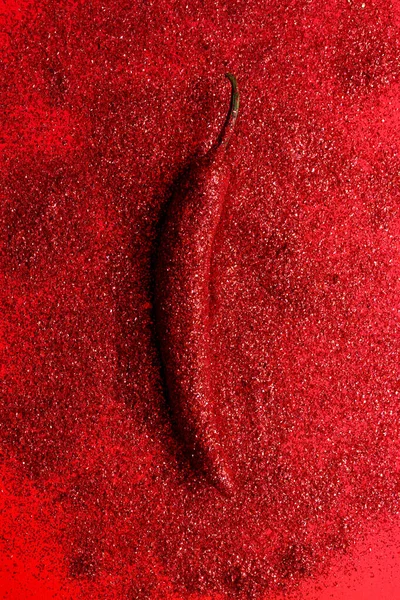 Einzige Rote Chilischote Auf Rotem Hintergrund Kreatives Minimalismus Konzept Mit — Stockfoto
