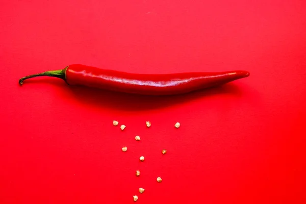 Einfache Rote Chilischote Auf Rotem Hintergrund Kreatives Minimalismus Konzept Mit — Stockfoto
